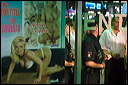 _dsc1593st.pauli011205004